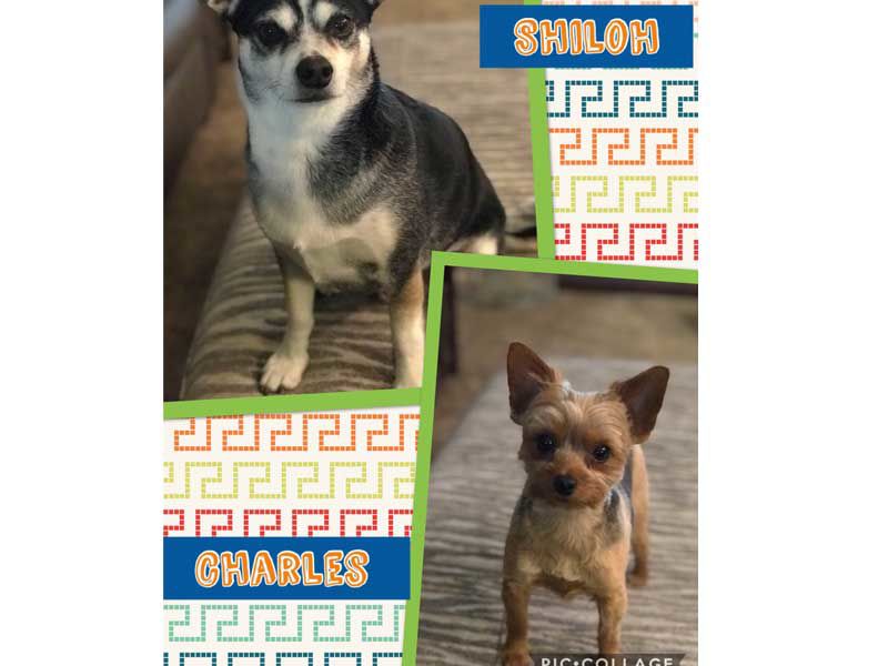 Charlie & Shilo